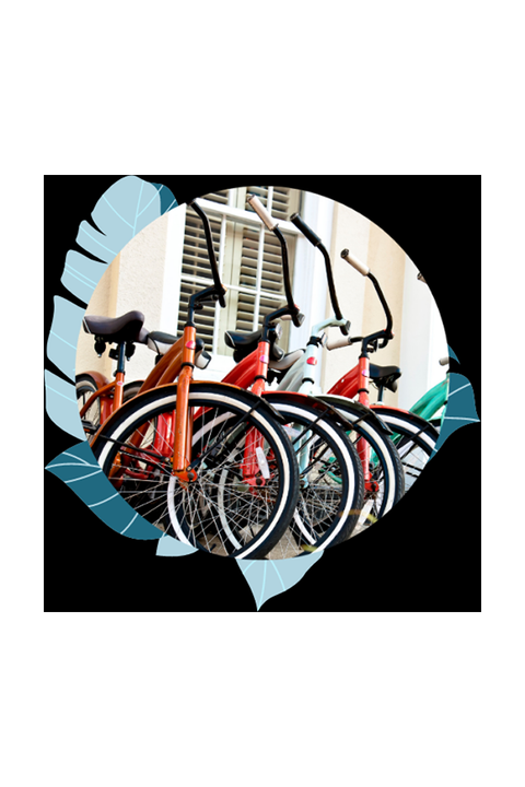 ISLAND BIKE SHOP