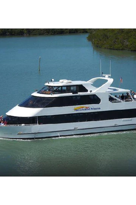 Cruises