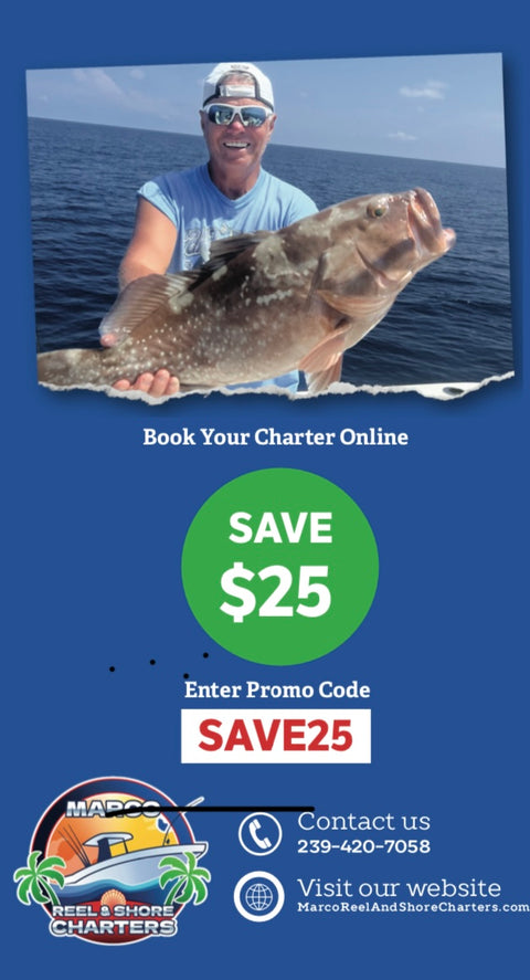 MARCO REEL & SHORE CHARTERS