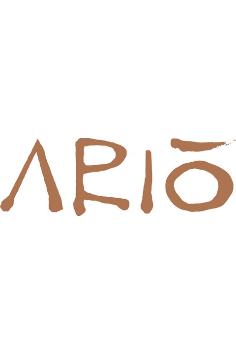 ARIO AT JW MARRIOTT