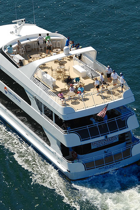 Cruises