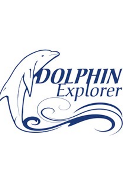 DOLPHIN STUDY