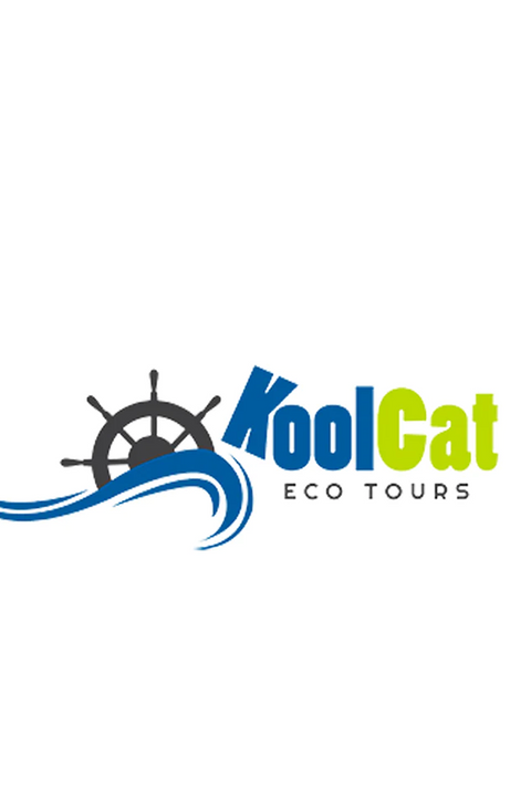 KOOL CAT