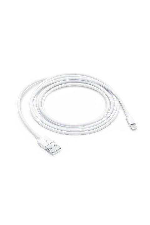 APPLE USB CORD