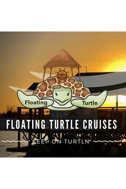 FLOATING TURTLE