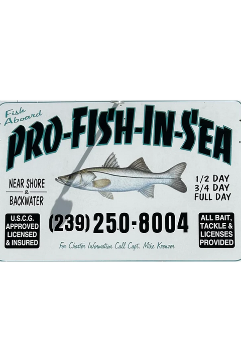 PRO-FISH-IN-SEA