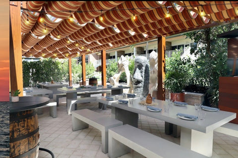 Best Restaurants