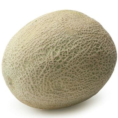 Cantaloupe Melon