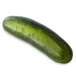 Cucumber           1ct
