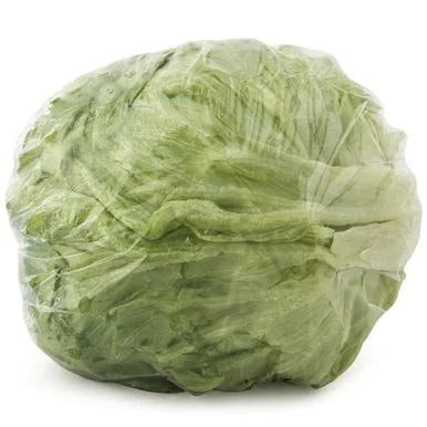 Iceberg Lettuce