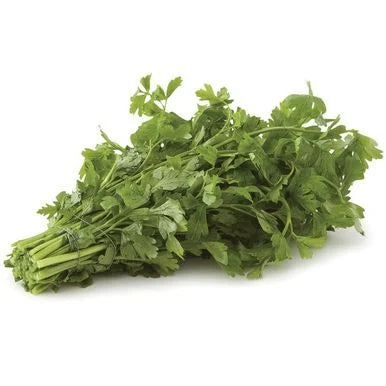 Italian Parsley Bunch