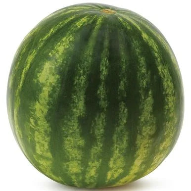 Mini Seedless Watermelon